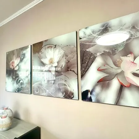 Bratanov Flower Street 阳光海滩
